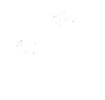 High Quality Protein White