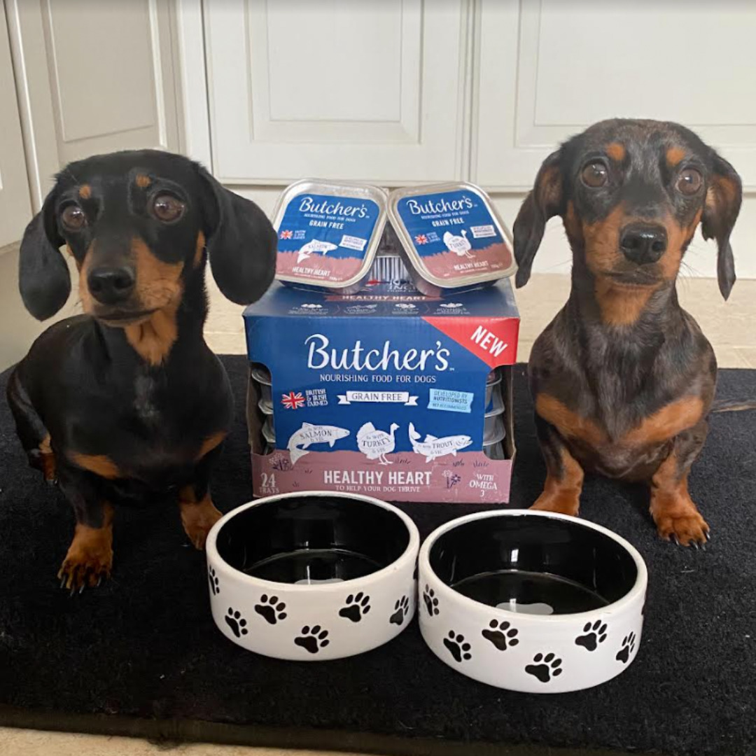 Two Dachshunds with butcher's Healthy Heart dog food products