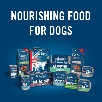 Nourishing butchers' dog food