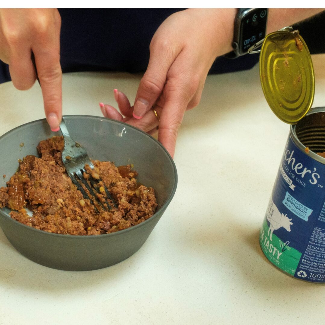 dog food being decanted into bowl and mushed with a fork