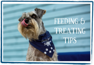 feeding and treating tips