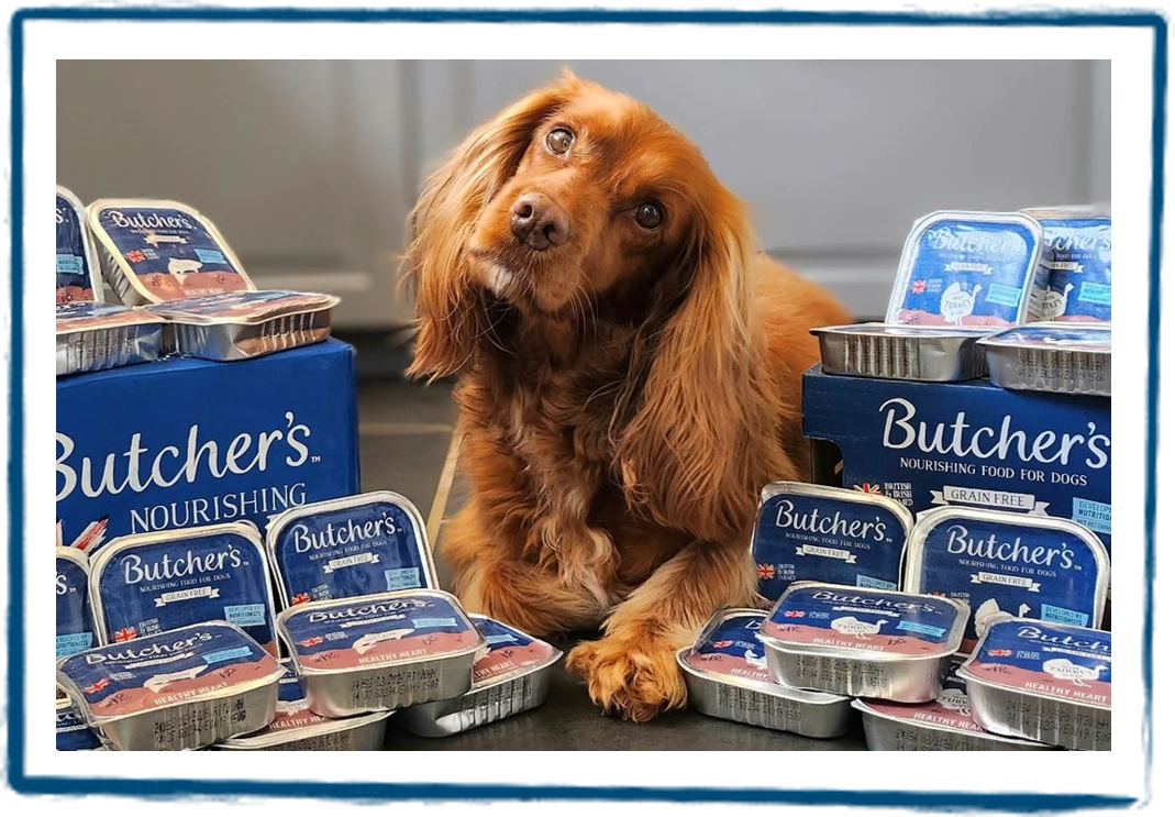 Butcher's dog food – Naturally Nourishing Food for Dogs