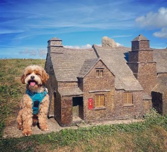 Dog sits next to a miniature house in a model village