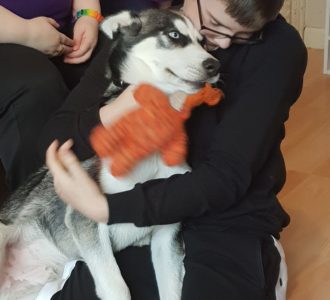 dog cuddling with kid