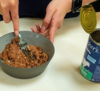 dog food being decanted into bowl and mushed with a fork